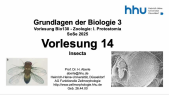 thumbnail of medium VorlesungBio130Zoologie2025-14-Insecta