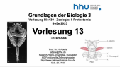 thumbnail of medium VorlesungBio130Zoologie2025-13-Crustacea