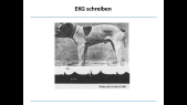 thumbnail of medium EKG SS2020