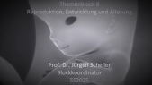 thumbnail of medium TB8 - 00 - Scheller - Blockeinführung