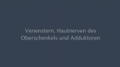 thumbnail of medium Venenstern Hautnerven des Oberschenkels und Adduktoren