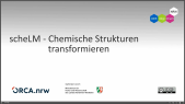 thumbnail of medium scheLM - cSt